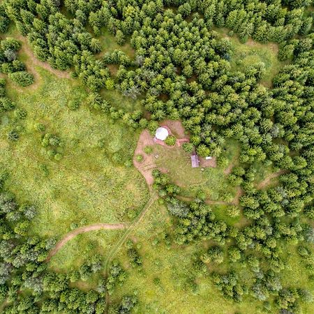 Hotel Kuusehaldja Glamping Kohila Zewnętrze zdjęcie