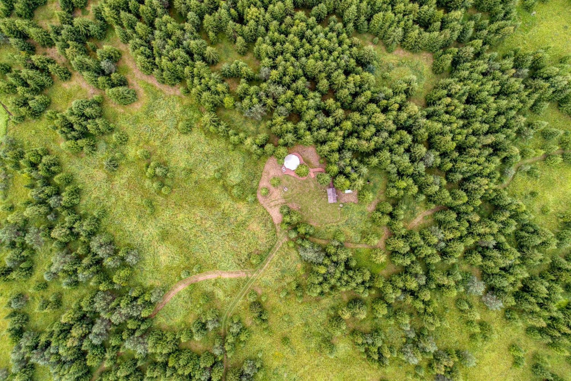 Hotel Kuusehaldja Glamping Kohila Zewnętrze zdjęcie